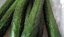 a圈惊天大瓜.黄瓜c,黄瓜c引发热议，揭秘背后真相